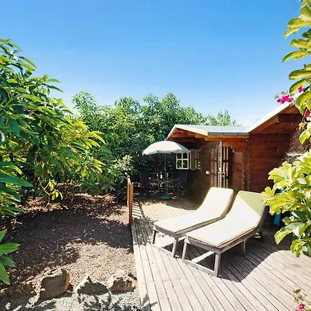 Hibiscus Among Avocados Holiday home